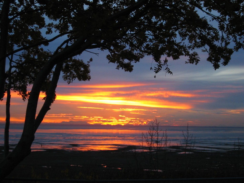 The Old & The&nbsp;New